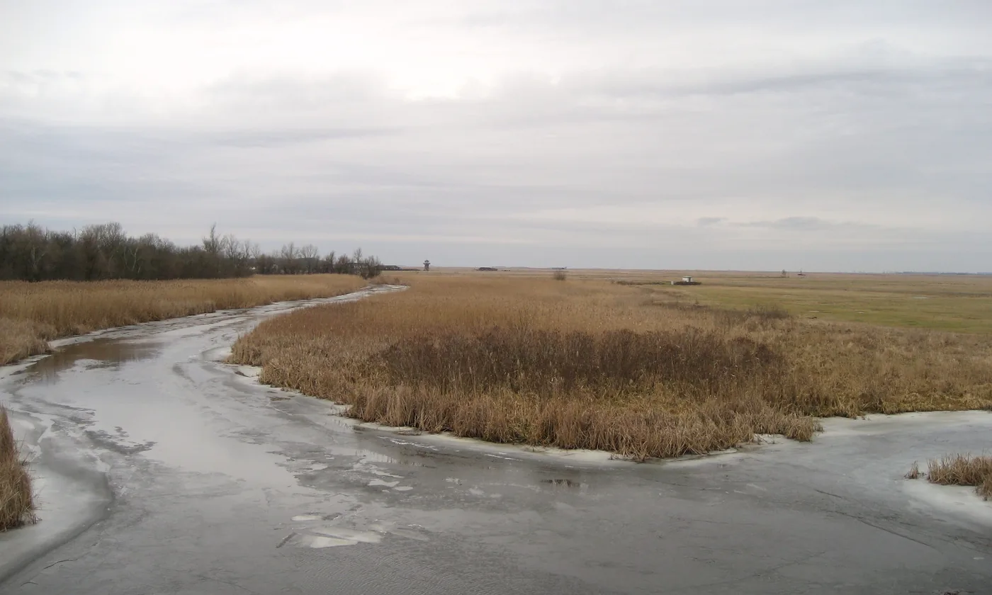 Reeds and a winding channel in the flat puszta of Hortobágy National Park